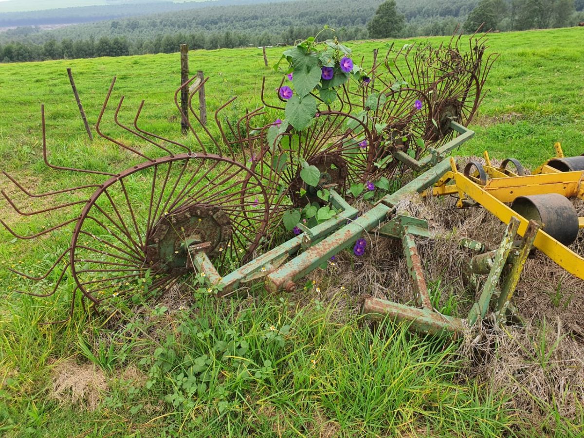 Butch Pike Sales Gallery
